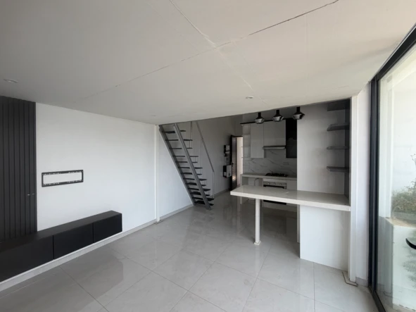 Flat & Apartment