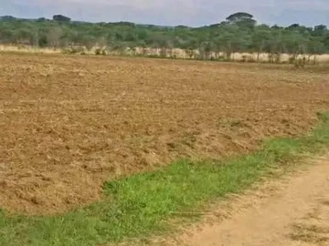 Farm & Agricultural Land