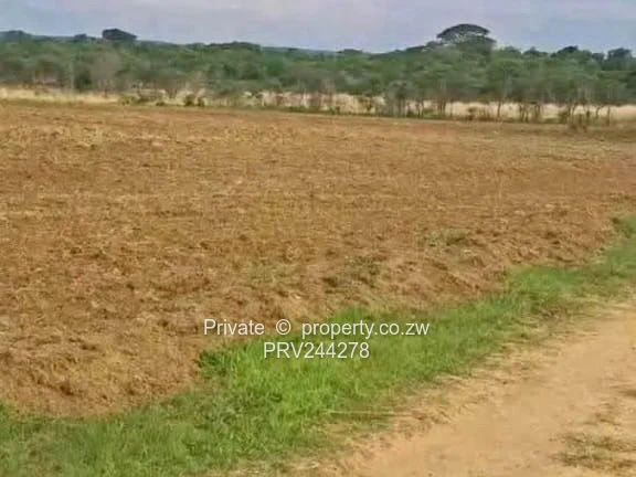 5ha Plot in Kadoma 