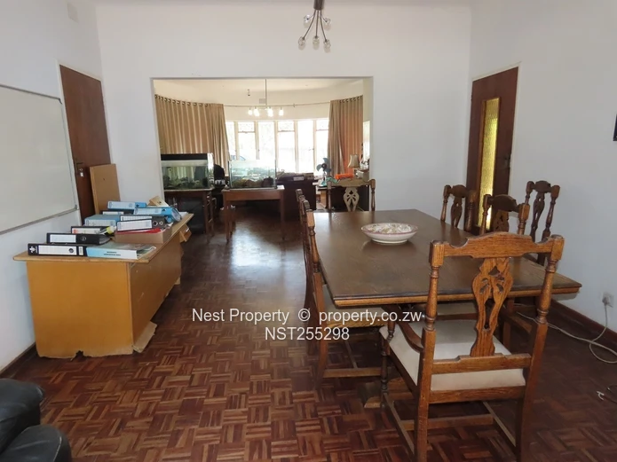 Position and Potential in Alexandra Park!