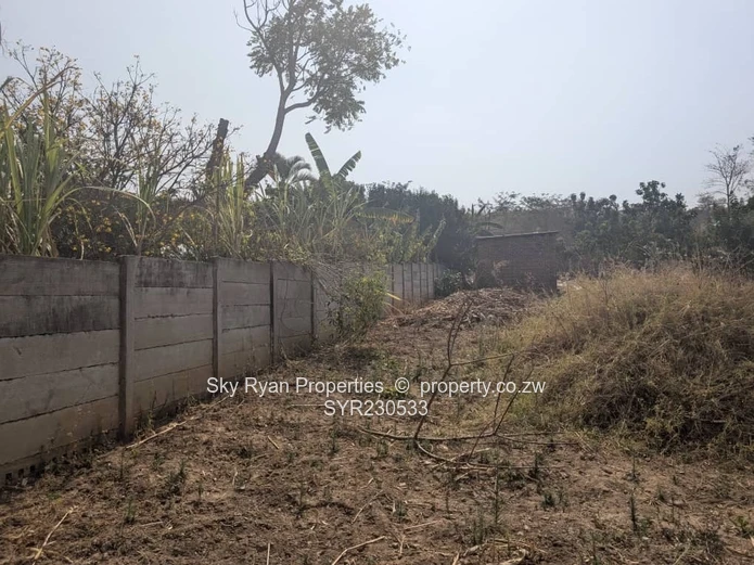 Helensvale (Elshadai) Stand For Sale 