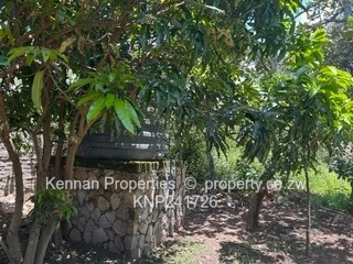 Incomplete Double Storey Home In Crowhill Views