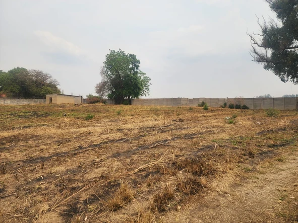 Stands & Residential Land