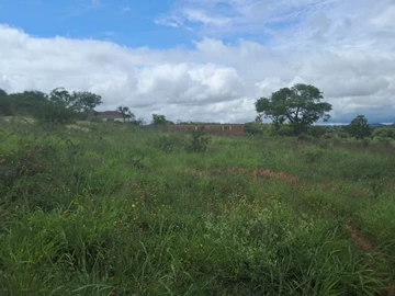 Land
