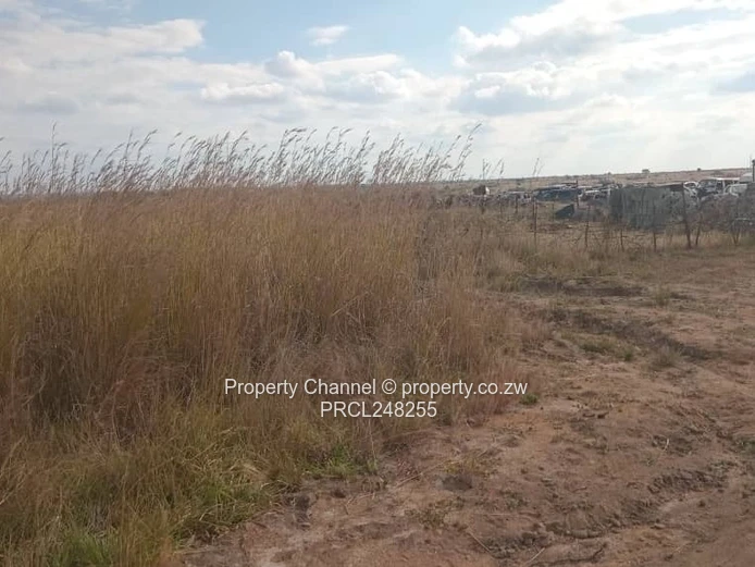5,000 sqm Level Plot in 8km west of Gweru CBD — Open Grass, Adjacent Walled Property