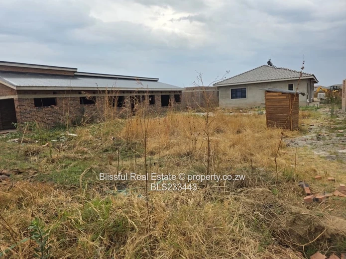 glaudina stand for sale