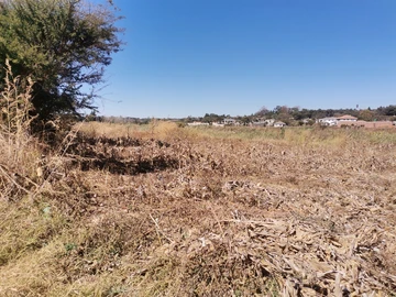 Stands & Residential Land