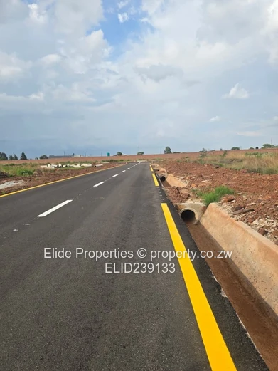 Spitzkop Phase 1 Stand For Sale (Sole Mandate)