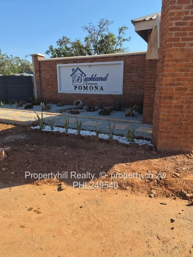 Pomona : Buckland Terraces (Sole Mandate)