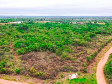 Farm & Agricultural Land