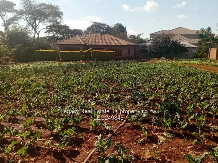 Shawasha Hills Investment Opportunity | Huge Stand | Ready To Expand WITH a Cottage