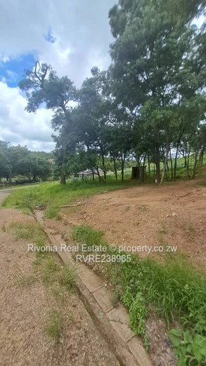 2000m² tree-lined stand with new paved road — Carrick Creagh