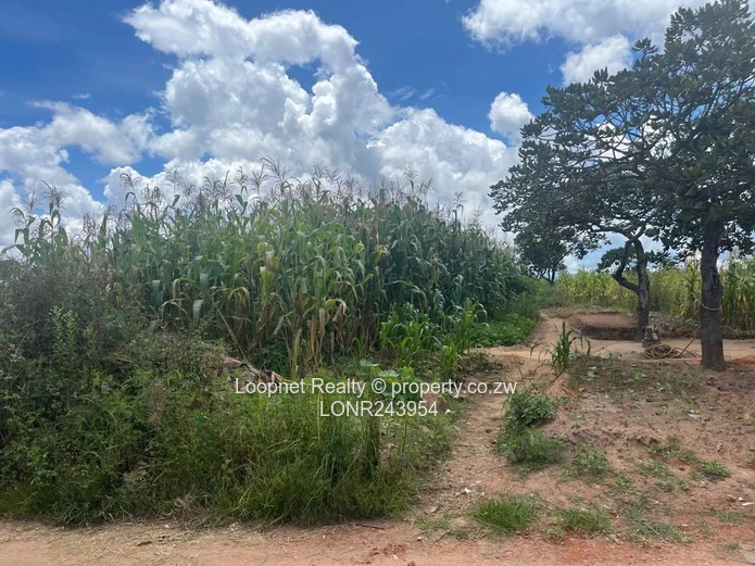 Crowhill Views 1000m² Stand