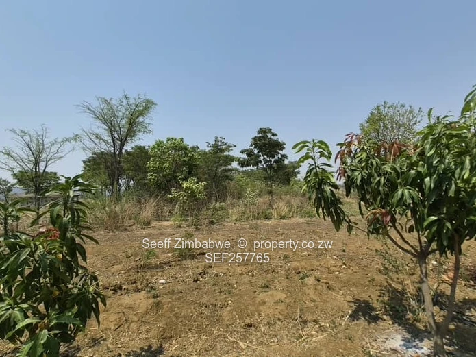 4800 m² Stand in Galloway — Norton