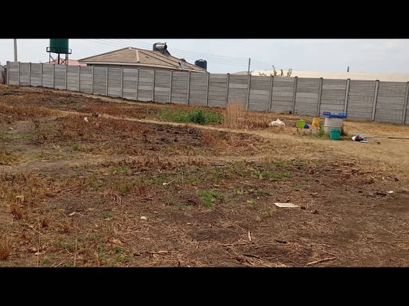 Stands & Residential Land