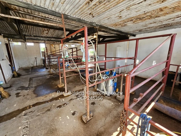 Lifestyle Farm Offering The Best Of Both Worlds