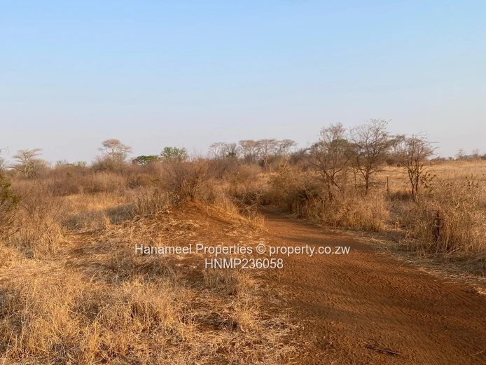 Selous Plot For Sale