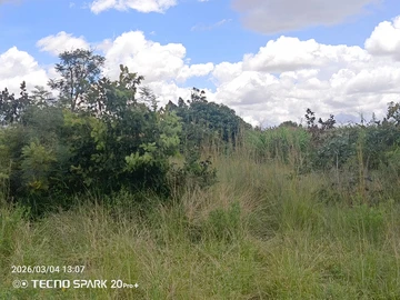 Farm & Agricultural Land