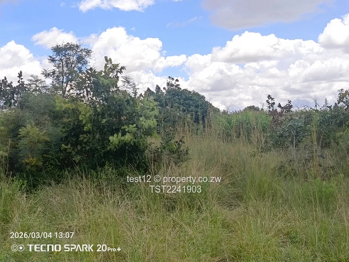 Ruwa - Goromonzi Plot for sale  (Sole Mandate)
