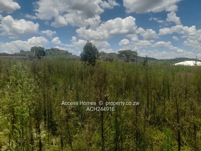 Crowhill Palm Village Stand For Sale