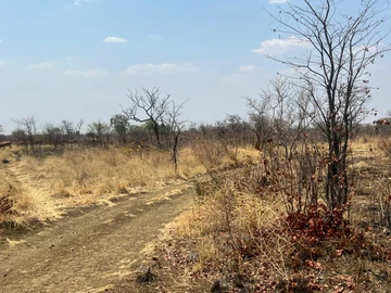 Farm & Agricultural Land