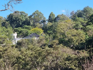 Luxurious 6-Bedroom House on 5.6 Hectares in Umwinsidale, Harare!