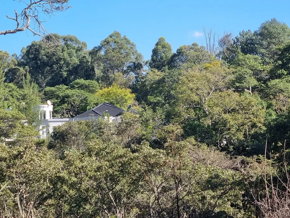 Luxurious 6-Bedroom House on 5.6 Hectares in Umwinsidale, Harare!