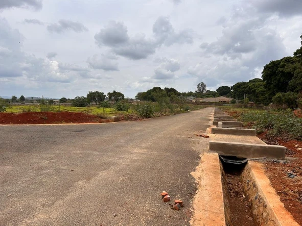 Stands & Residential Land