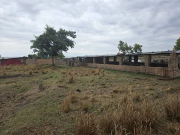 Farm & Agricultural Land