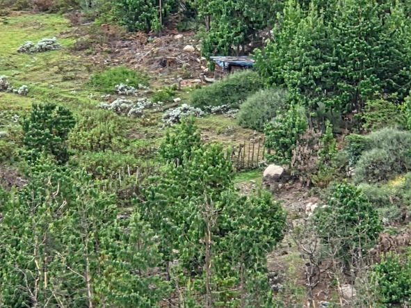 Commercial & Industrial Land