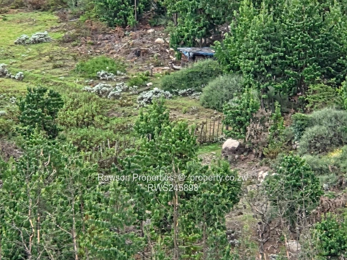 Prime 4.2ha Commercial Land with Panoramic Nyanga Views