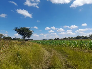 14.1 Hectares Prime Residential Land For Sale in Old Marlborough ( tittle deeds )