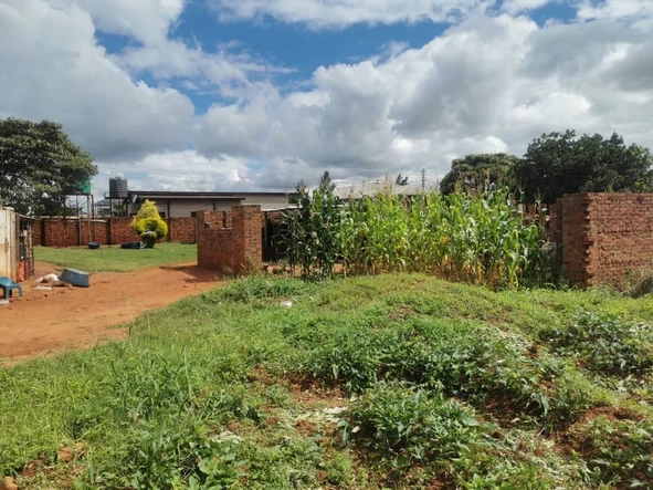 Stands & Residential Land