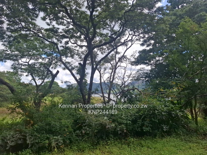 Lifestyle In Close Proximity To Nature!