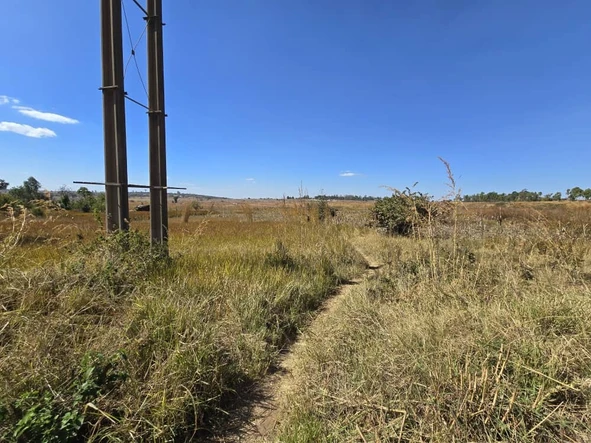 Stands & Residential Land