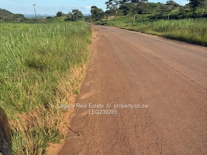 Prime 2,000sqm Stands for Sale Near Concession–Glendale Road, Mazowe