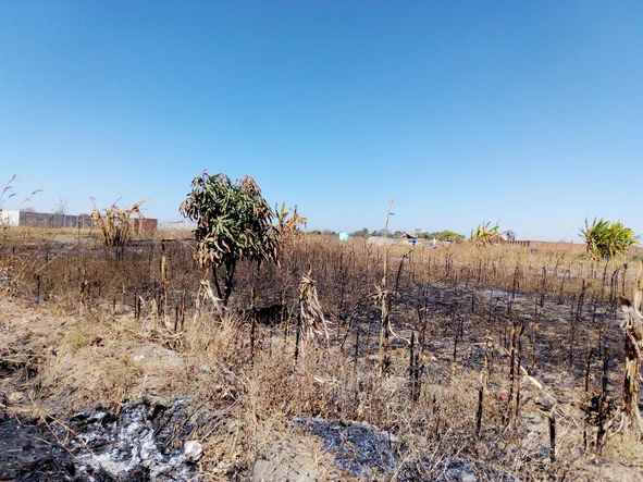Commercial & Industrial Land
