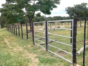 Farm & Agricultural Land