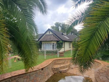 Shop & Retail Property