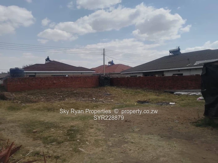 Madokero Stand For Sale 