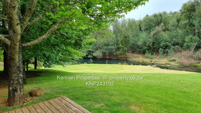 Owl Cottage (Sole Mandate)