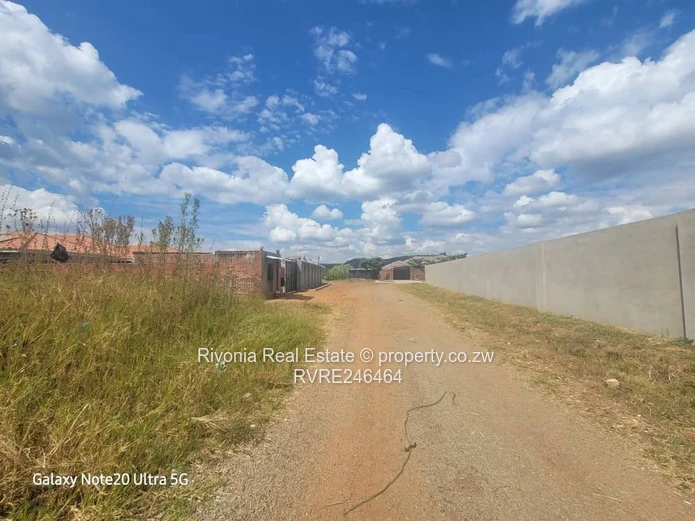 1800m² Secure Stand, Carrick Creagh — Road Frontage & Trees
