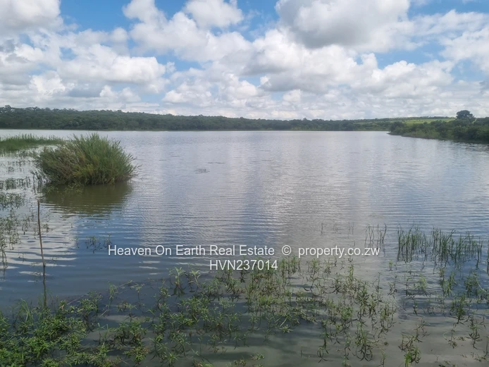 Green Gold For You Farmers!!