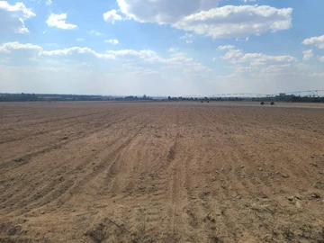 Farm & Agricultural Land