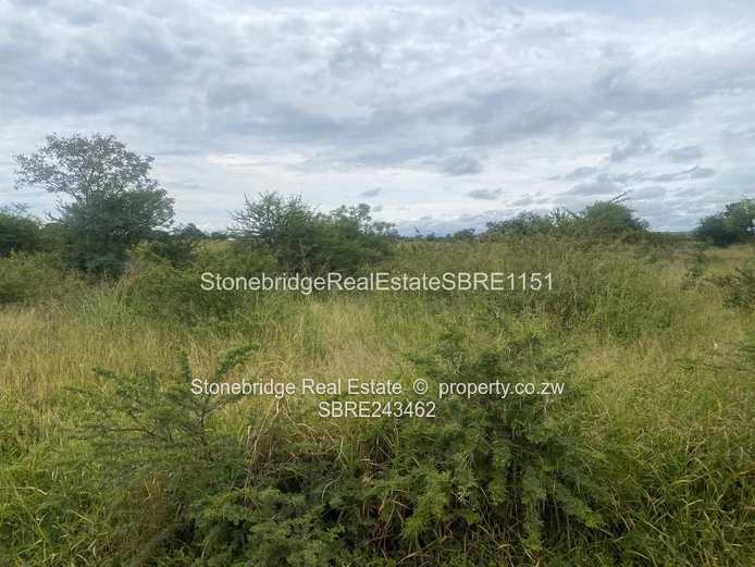4 Acres Stand in Woodville Park for sale