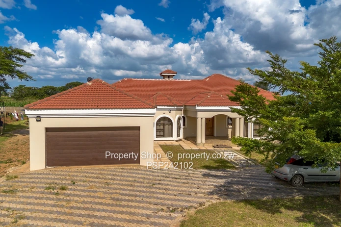 Endless Possibilities In Glaudina