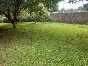 2 Bedroom Garden Flat