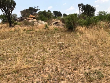 Farm & Agricultural Land