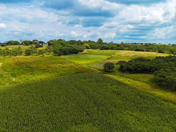 Farm & Agricultural Land