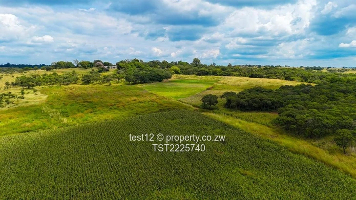 Mazowe Farm For Sale  (Sole Mandate)